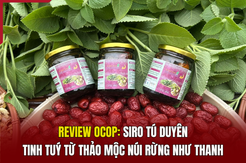 [REVIEW OCOP] Siro Tú Duyên - Tinh tuý từ thảo mộc núi rừng Như Thanh