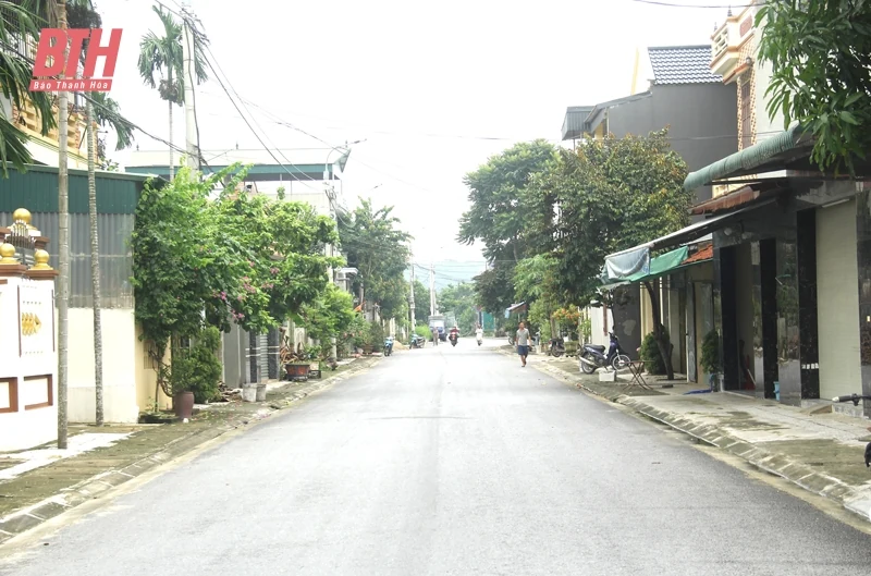 Những gam màu tươi sáng