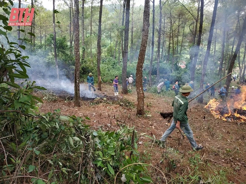 Tăng cường phòng, chống cháy rừng mùa nắng nóng