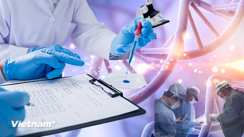 Italy tiên phong trong liệu pháp gene điều trị bệnh máu di truyền hiếm gặp