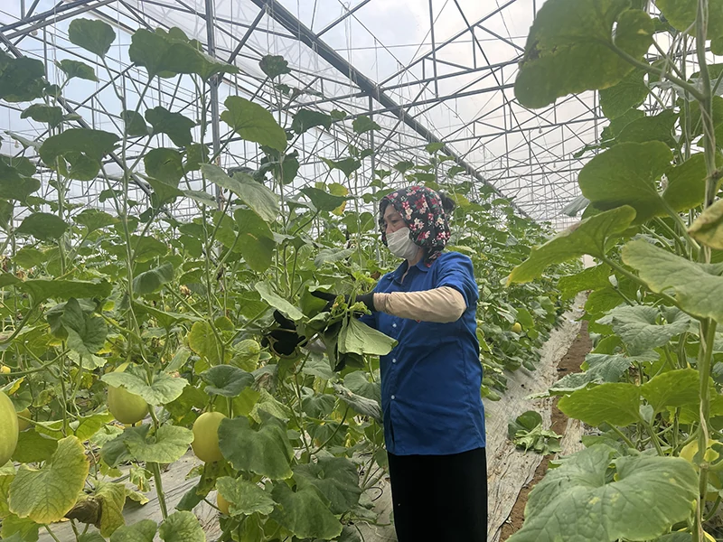 Nông nghiệp thời công nghệ số