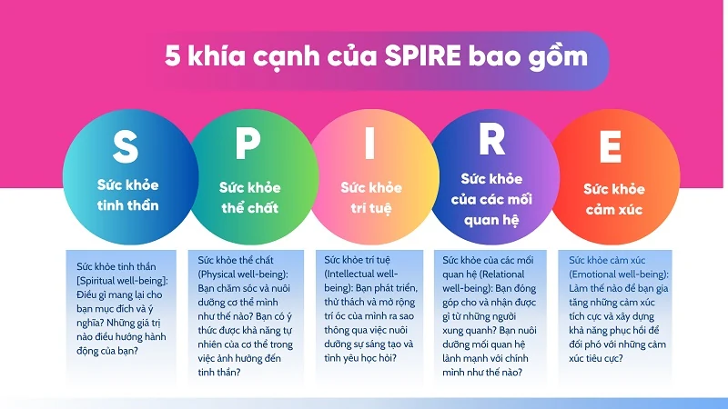 5 yếu tố làm nên môi trường giáo dục hạnh phúc tại TH School