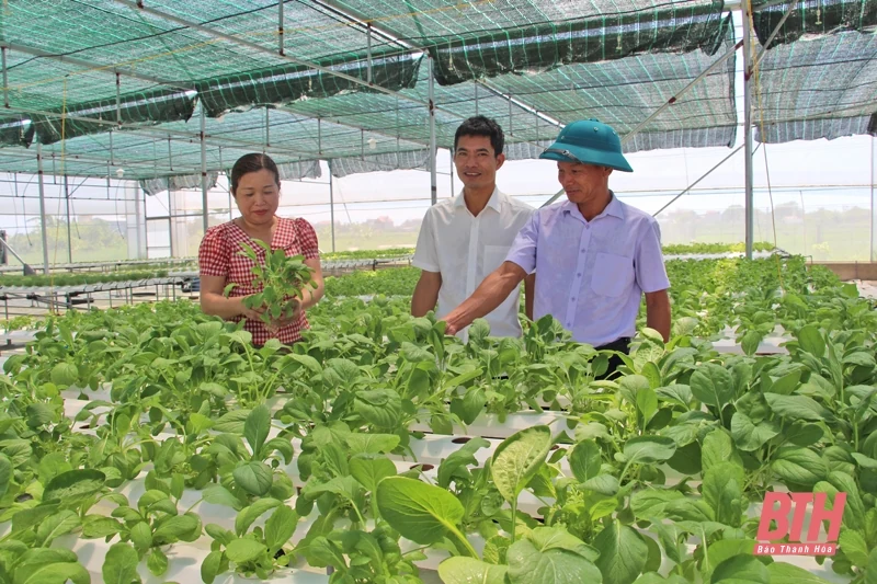 Hậu Lộc sau 10 năm thực hiện Chỉ thị 05 của Bộ Chính trị