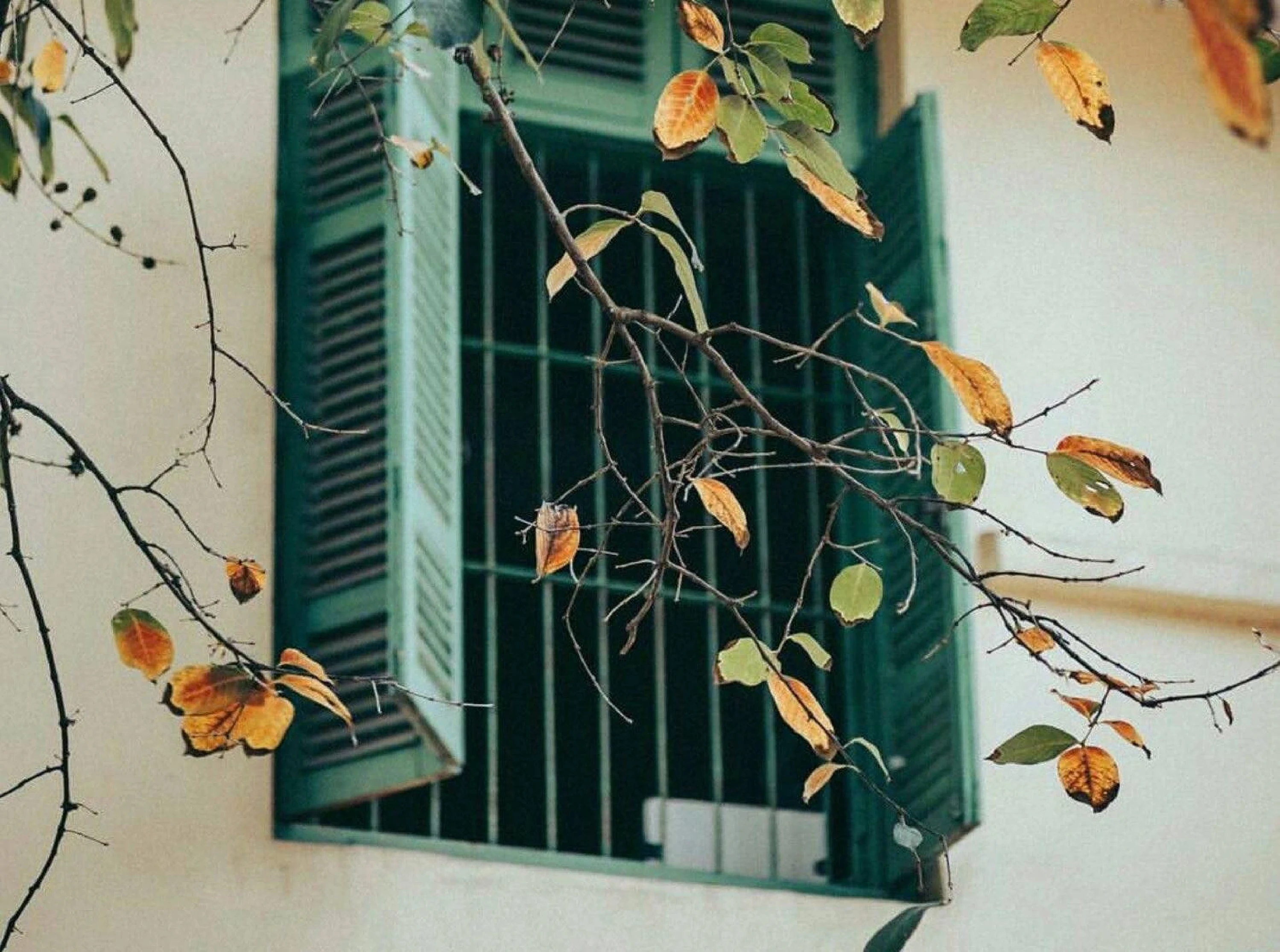 [Emagazin]: Từ ô cửa nhỏ