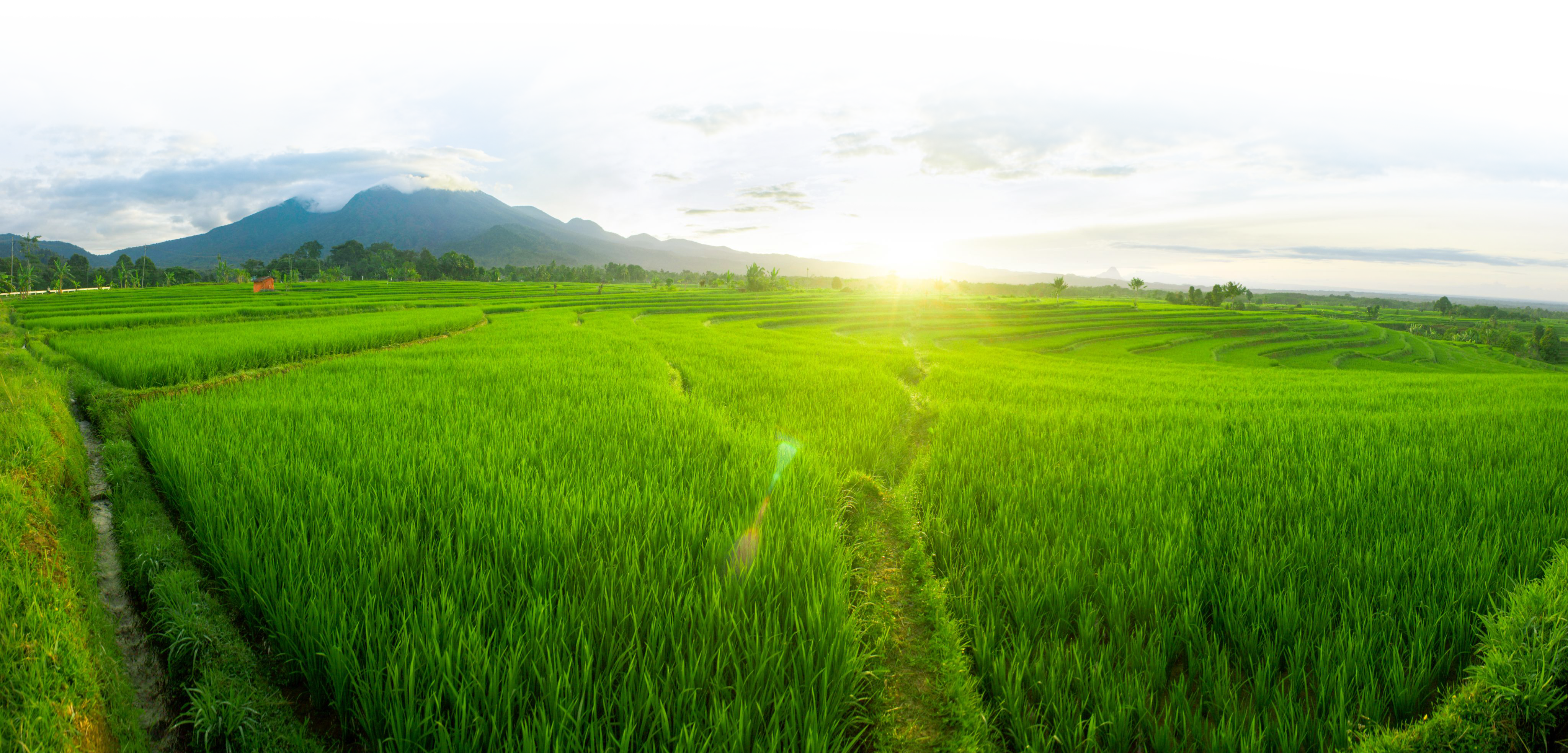 [Emagazin]: Từ ô cửa nhỏ