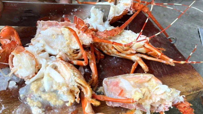 Phát hiện cơ sở bơm tiêm tạp chất vào tôm hùm ở Phú Yên