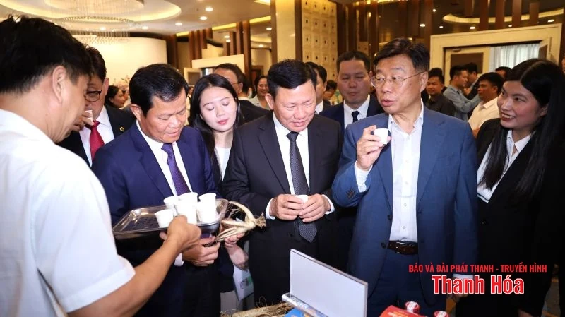 Thanh Hóa - Seongnam: Tăng cường hợp tác, mở rộng cơ hội đầu tư, thương mại và du lịch