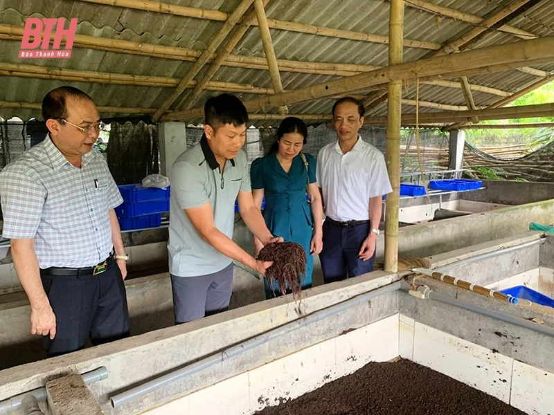 Phát huy vai trò Hội Nông dân trong xây dựng nông thôn mới