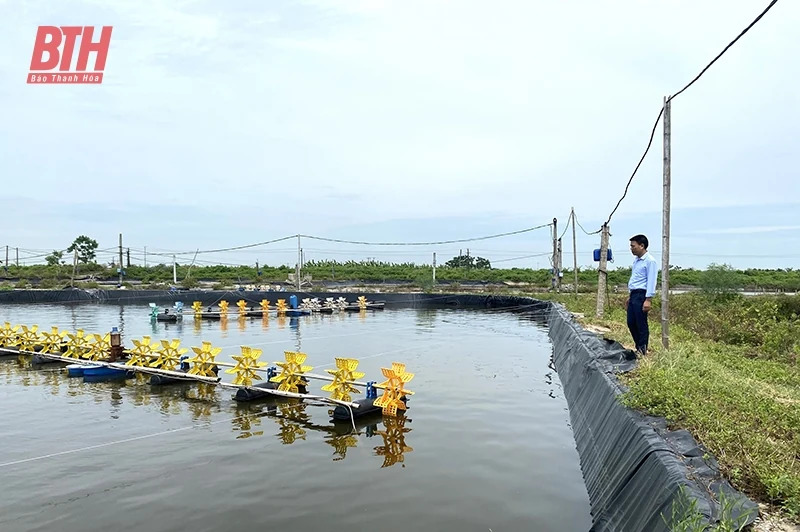 Bảo đảm an toàn trong nuôi trồng thủy sản mùa nắng nóng