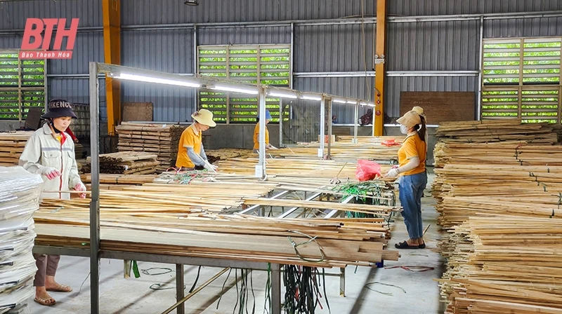 Phát triển bền vững, nâng tầm giá trị tre, luồng