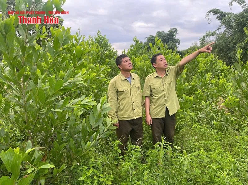 Trạm trưởng 20 năm thầm lặng giữ rừng