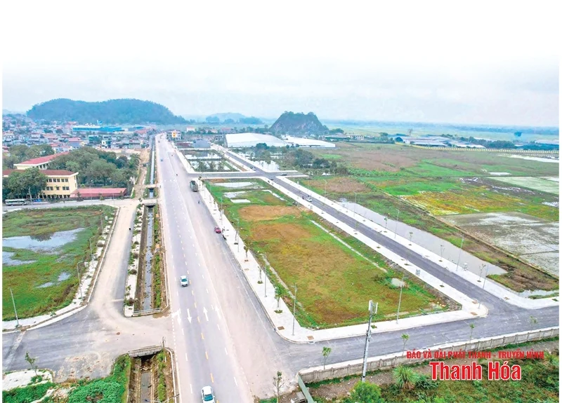 Đất đấu giá tăng cao: Nhu cầu thị trường hay “cò” thổi giá”?