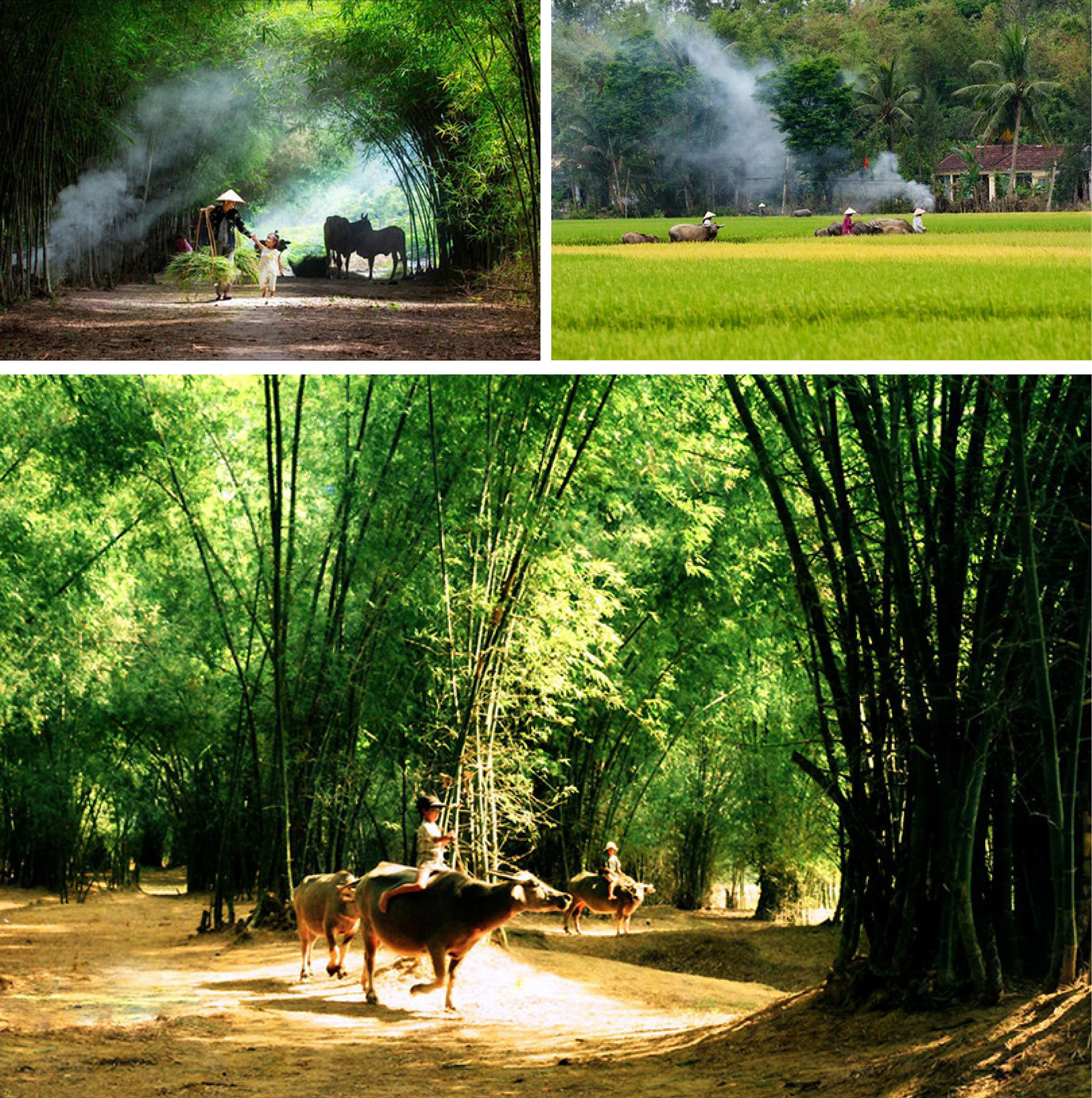 [Emagazine]: Lời ru của đất