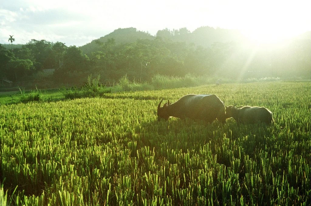 [Emagazine]: Lời ru của đất