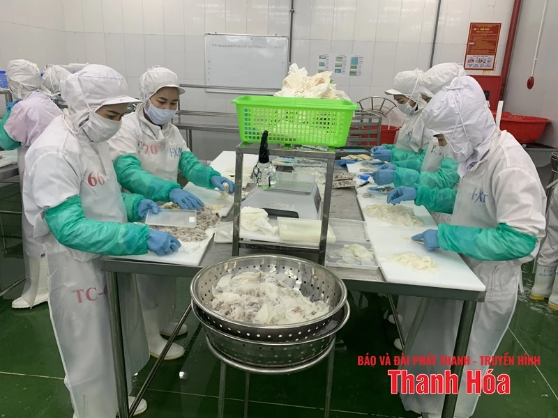 Phát triển bền vững nghề chế biến thủy, hải sản