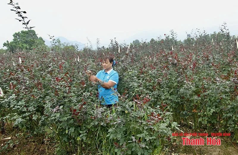 Bức tranh nhiều gam màu sáng