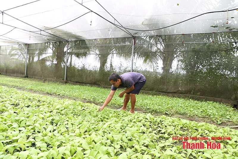 Từ nhu cầu đến thị trường: Khi thực phẩm an toàn thành xu thế