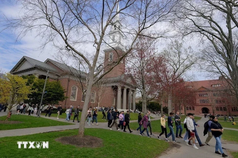 Mỹ: Đại học Harvard công bố phương án đầu tiên hỗ trợ sinh viên quốc tế