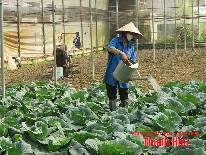 Đồng hành cùng thanh niên lập thân, lập nghiệp