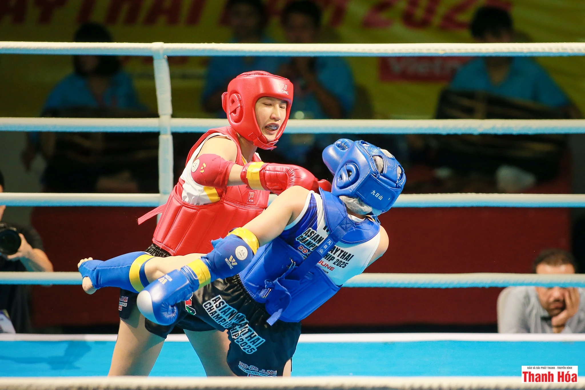 Nữ võ sỹ Muay Thanh Hóa hoàn tất bộ sưu tập huy chương vàng quốc tế