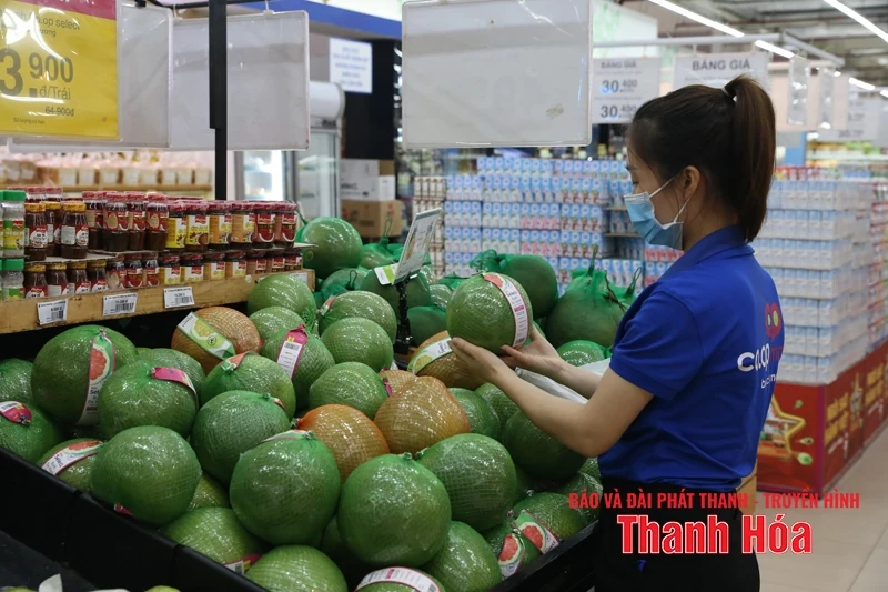 Cuộc đua mở rộng thị trường bán lẻ giữa hàng nội và ngoại