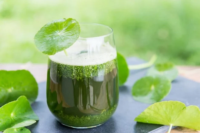 Rau má - thần dược từ thiên nhiên cho làn da khỏe đẹp