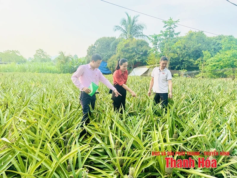 Bảo đảm hoạt động tín dụng chính sách ổn định, thông suốt