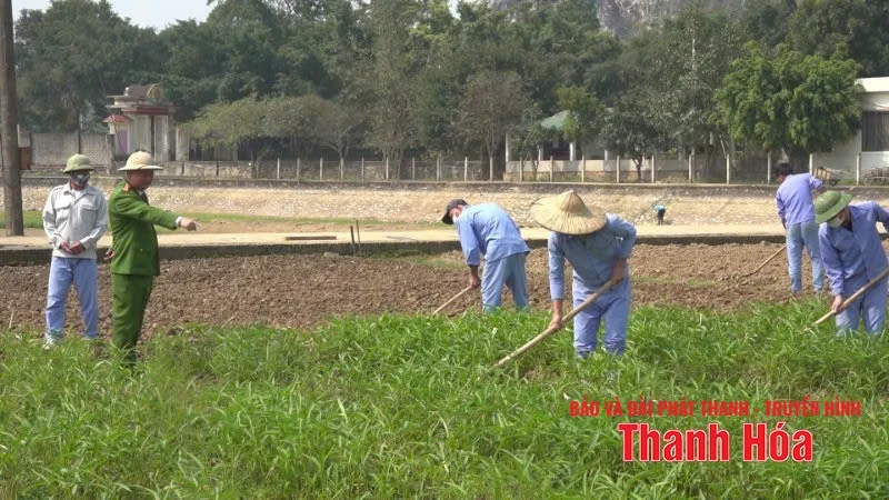 Nâng cao hiệu quả cai nghiện ma túy