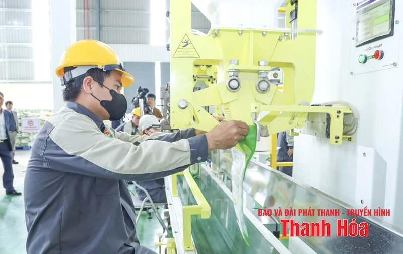 Xây dựng các cơ sở bảo quản, chế biến nông sản