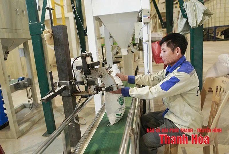 Xây dựng các cơ sở bảo quản, chế biến nông sản