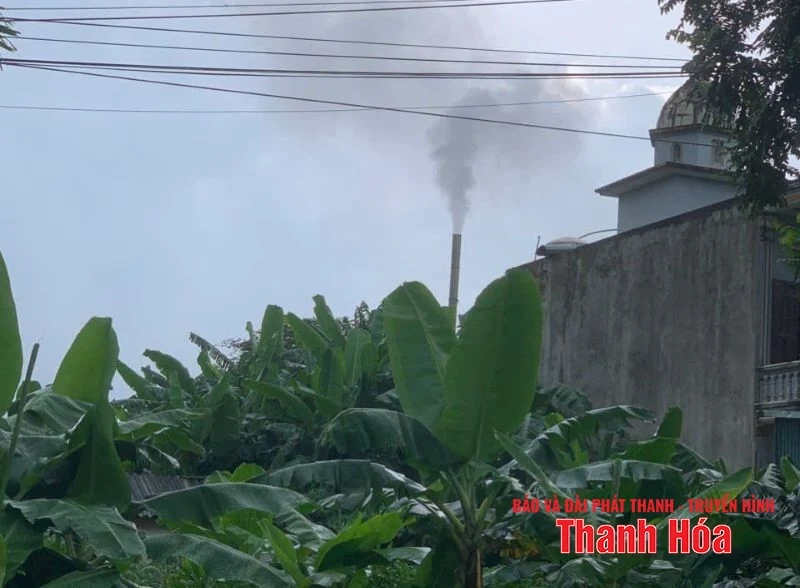 Sớm xác minh tình trạng ô nhiễm môi trường theo phản ánh của người dân xã Sao Vàng