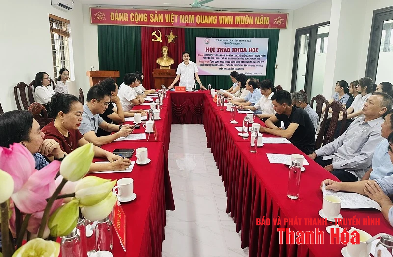 Phát triển chuỗi giá trị trong sản xuất, chế biến và tiêu thụ sen