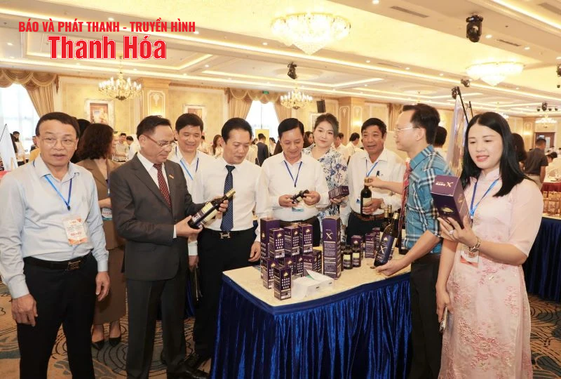 Xúc tiến thương mại và kết nối giao thương Thanh Hóa - Hải Phòng