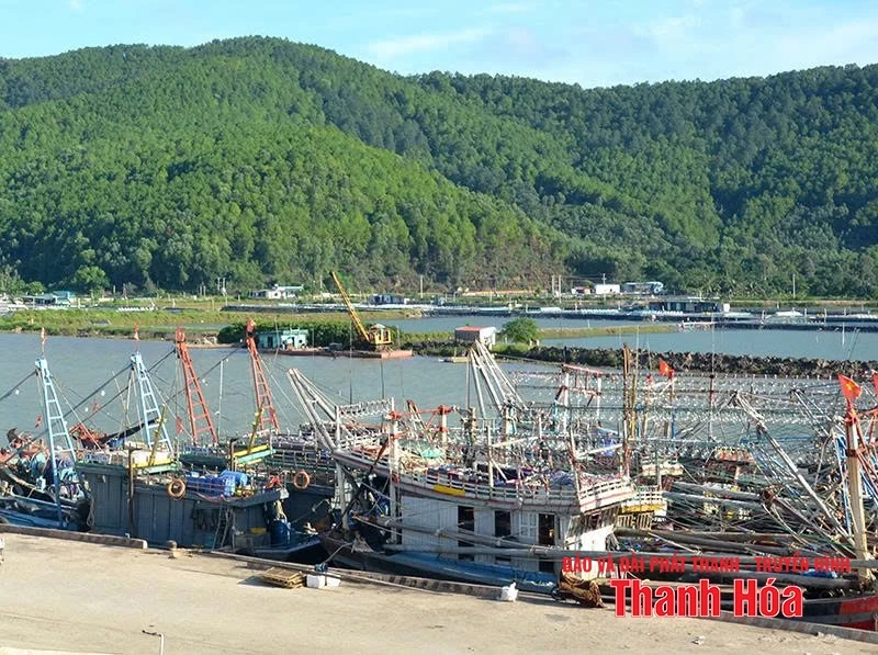 Tháo gỡ “điểm nghẽn” tại Cảng cá Hòa Lộc và khu neo đậu tránh trú bão cho tàu thuyền nghề cá Lạch Trường