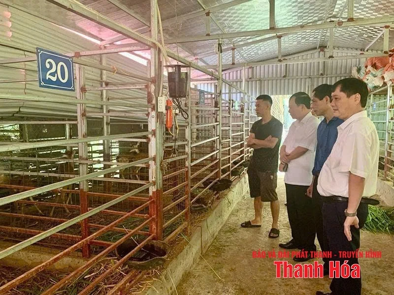 Điểm tựa giúp nông dân vượt khó, làm giàu