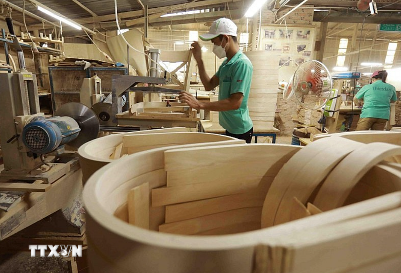 Công bố 919 loài gỗ đã nhập khẩu vào Việt Nam với nhiều loài gỗ mới