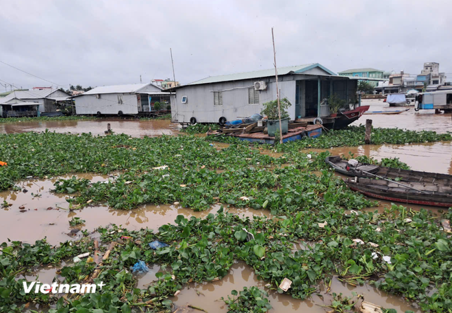 Giải quyết ô nhiễm nhựa: Việt Nam cần nguồn tài chính khoảng 9 tỷ USD