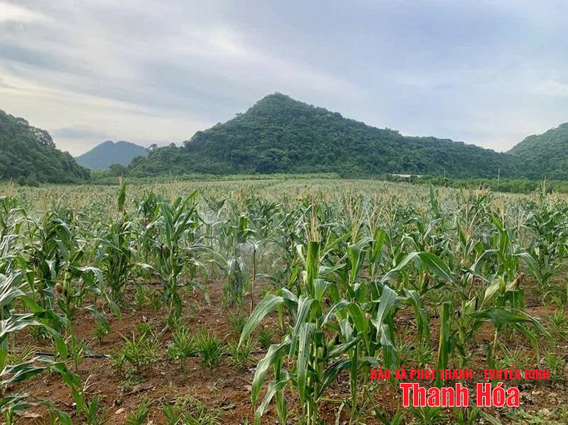 Khi công nghệ thành “bạn đồng hành”