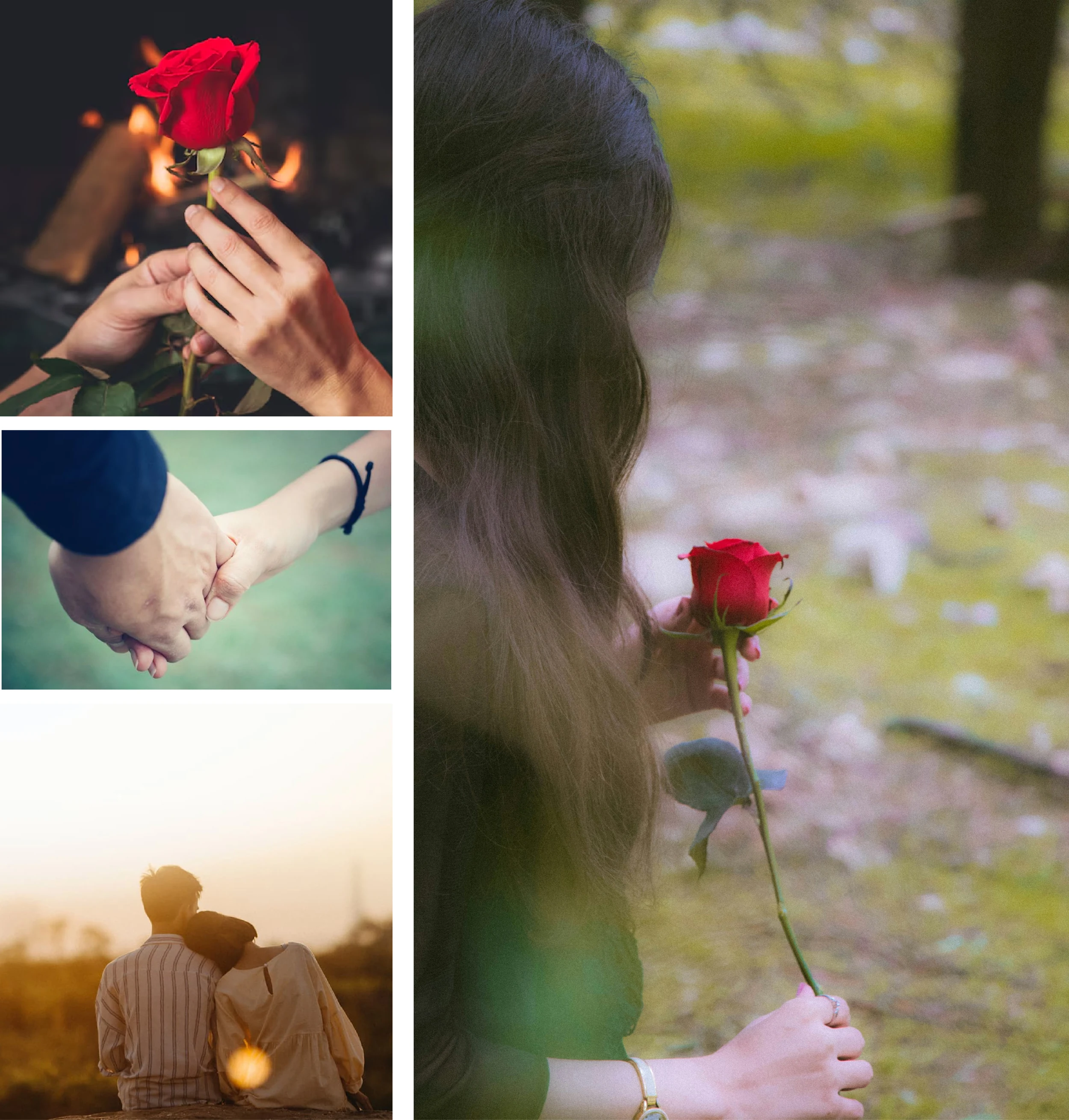 [E-Magazine]: Ngang qua những mùa hoa nở