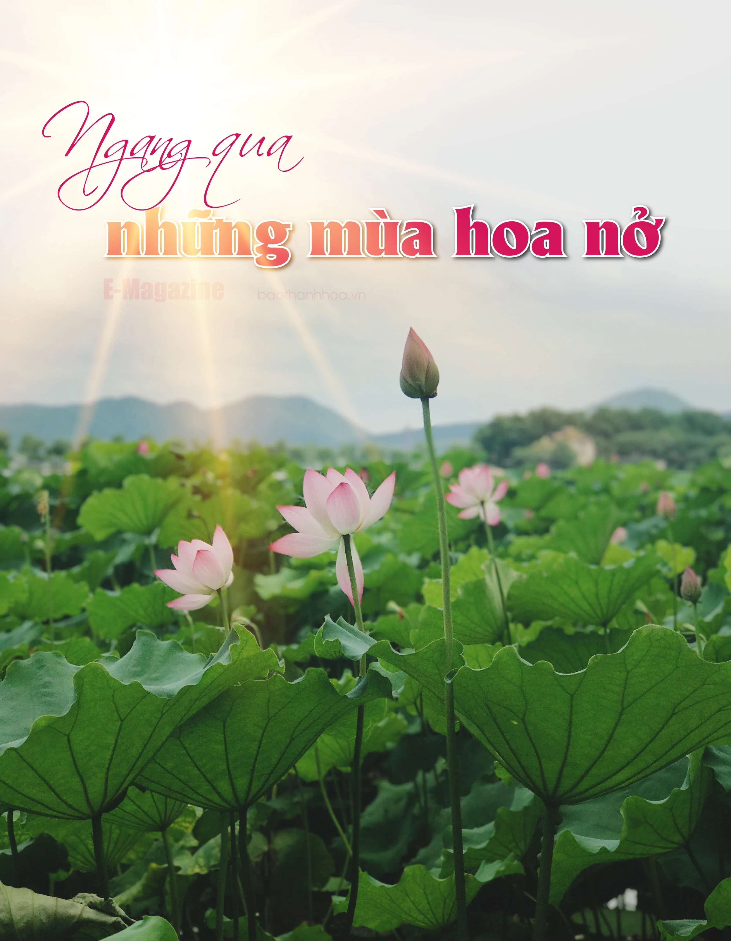 [E-Magazine]: Ngang qua những mùa hoa nở