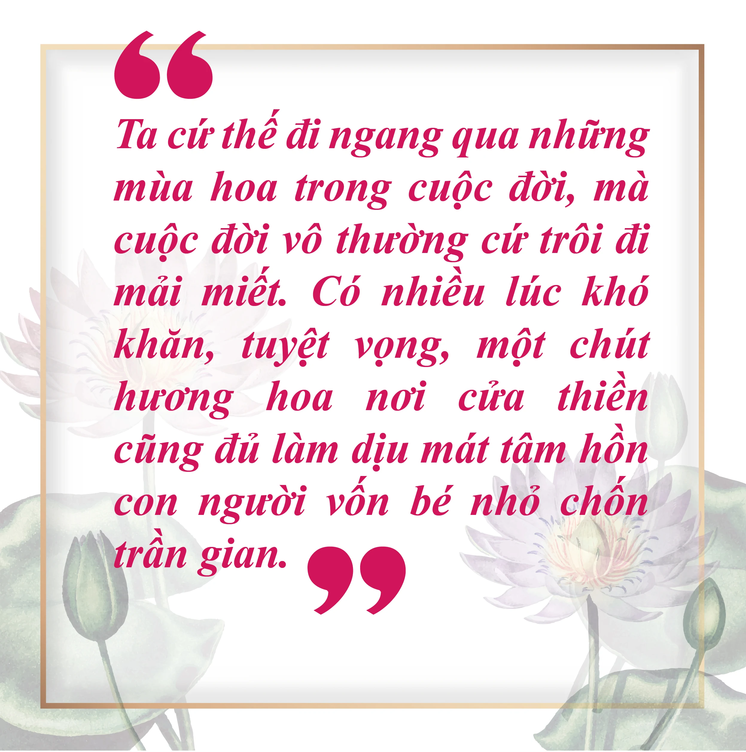 [E-Magazine]: Ngang qua những mùa hoa nở