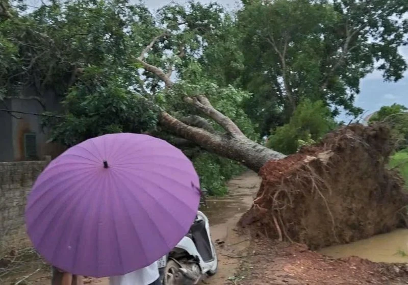 Mưa dông khiến nhiều nhà dân tốc mái, công sở hư hỏng