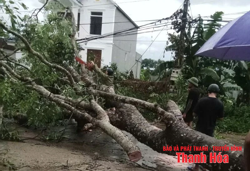 Mưa dông khiến nhiều nhà dân tốc mái, công sở hư hỏng