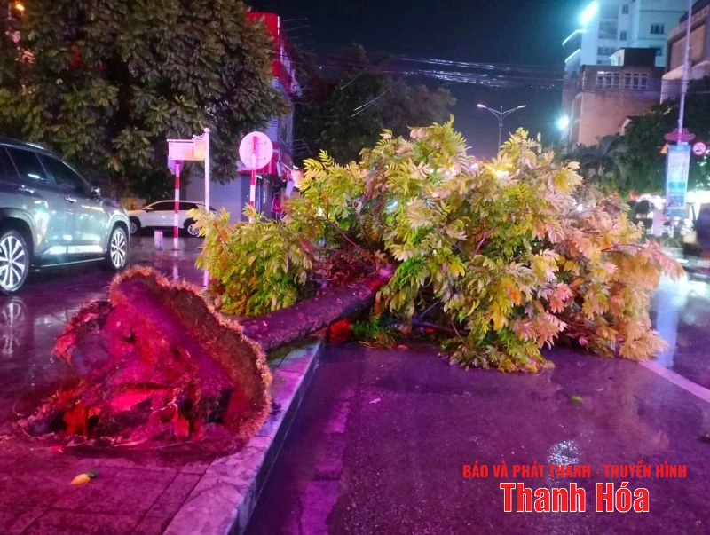 Mưa dông khiến nhiều nhà dân tốc mái, công sở hư hỏng