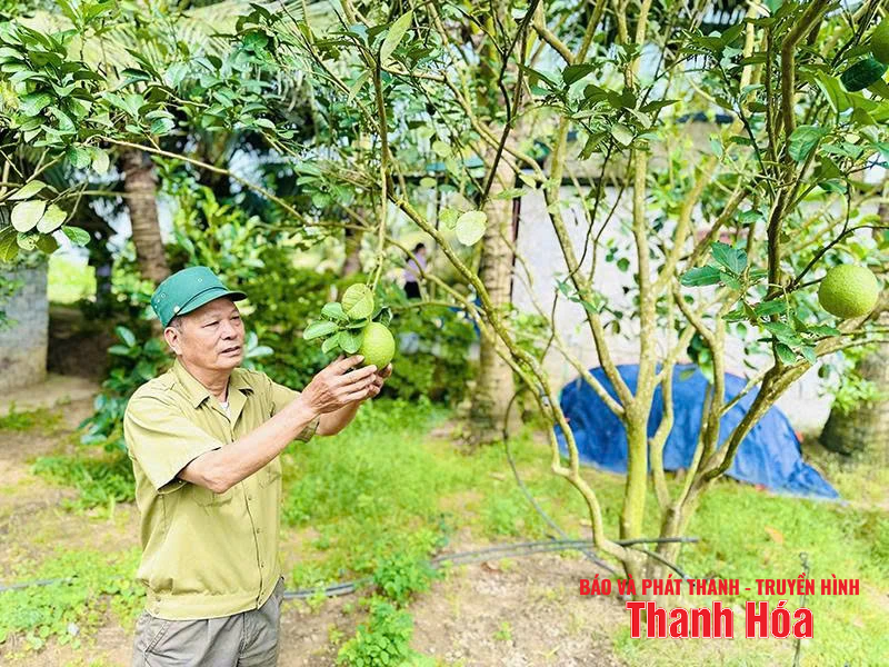 Tăng khả năng tiếp cận vốn cho người dân khu vực nông thôn