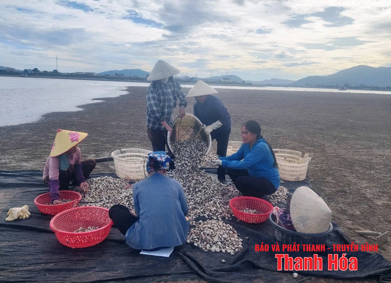 Khi nông dân thi đua sản xuất, kinh doanh giỏi