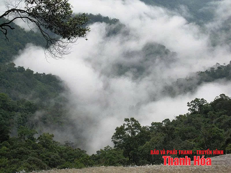 Đỉnh Pù Gió trong mây...