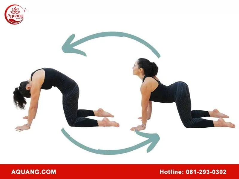 Tập các bài yoga chữa đau lưng vai gáy cùng A Quang Kegel