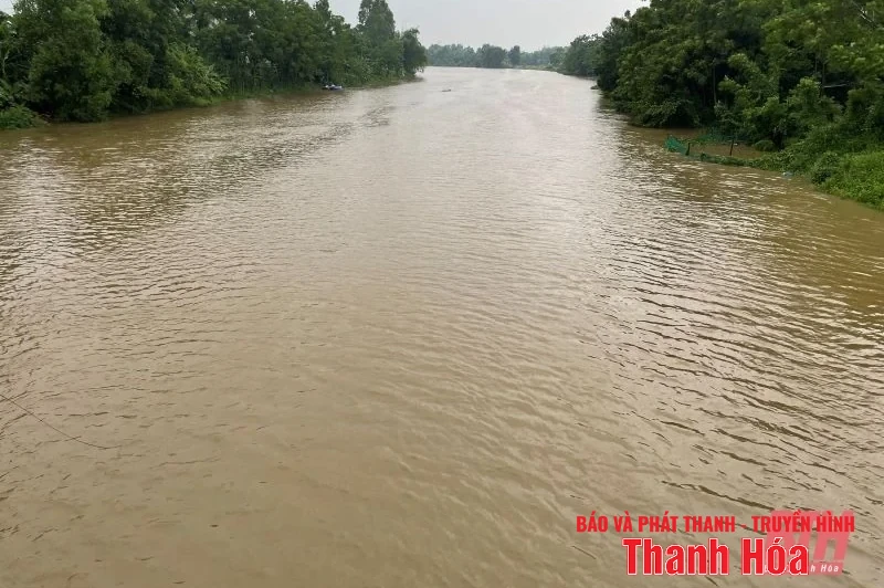 Lũ trên sông Yên khả năng đạt báo động 1 vào trưa nay (22/7)