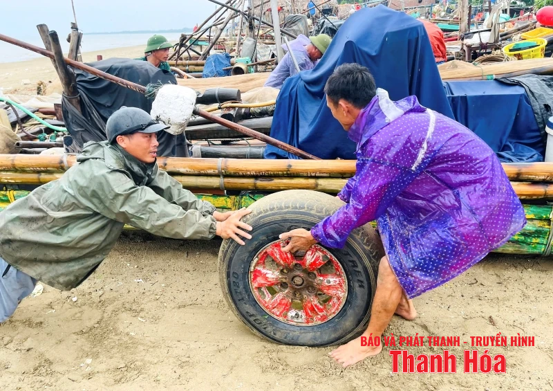 Ngư dân Thanh Hóa khẩn trương đưa tàu thuyền tránh trú bão an toàn